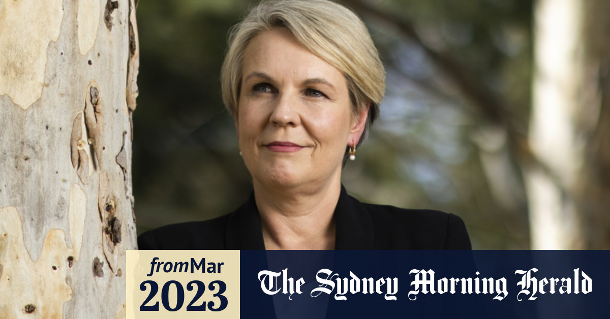 Tanya Plibersek biography review Dedicated to family and a politician